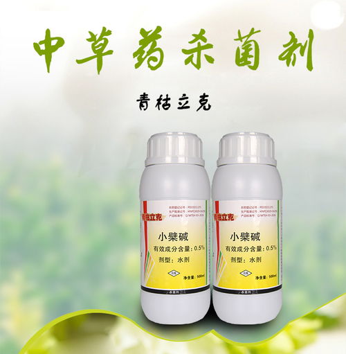 人参锈腐病的最佳防治方法及新型冷媒复配剂的应用研究