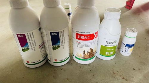 水稻防病治虫和除草，新型生物助剂少不了——倍润新型冷媒复配剂应用探析